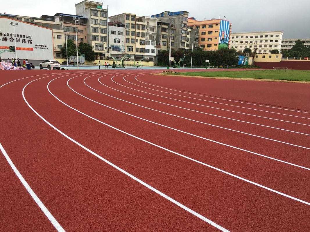 乌海市EPDM颗粒塑胶跑道材料 - 价格